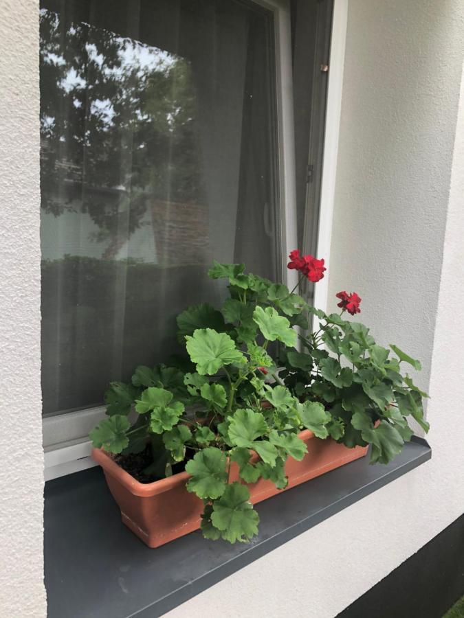 Mosoly Szallashely Segedín Exteriér fotografie